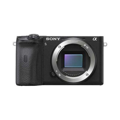 Sony A6600